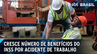 Dino intima autoridades sobre suposto uso indevido do orçamento | SBT Brasil (19/04/24)